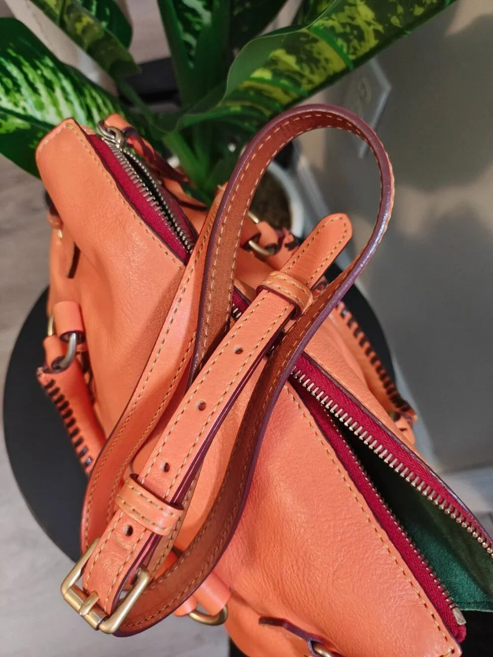 Dooney & Bourke elevate your